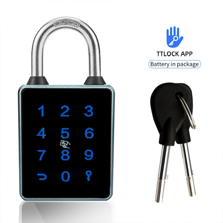 Most Popular Passcode Electronic Fingerprint IC Card Tuya TTlock APP Smart Padlock With Door