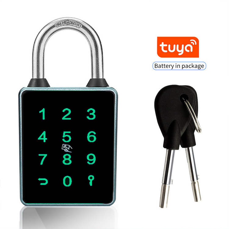 Most Popular Passcode Electronic Fingerprint IC Card Tuya TTlock APP Smart Padlock With Door