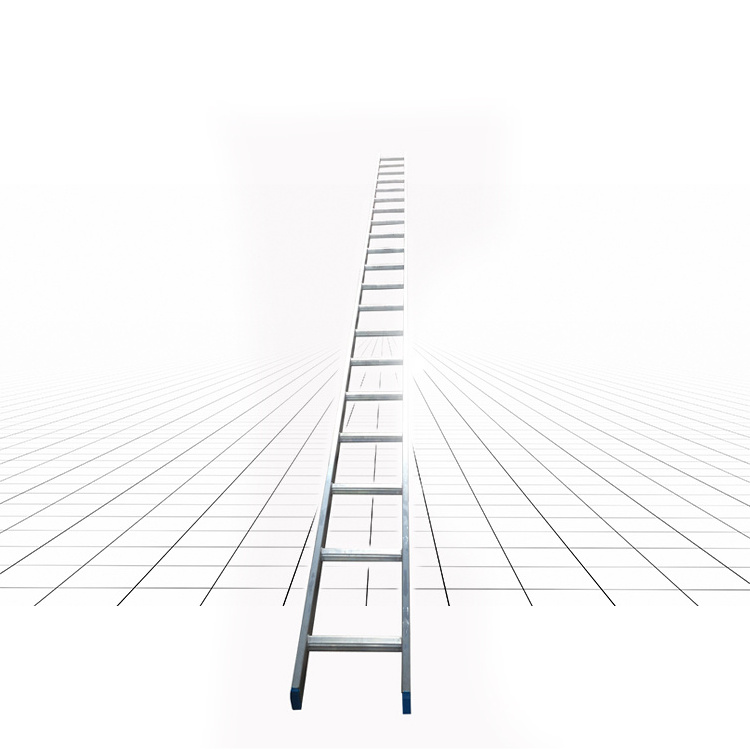 Competitive Price 6m Straight Aluminum Ladder 330 Lbs En 131 Construction Scaffold Ladder