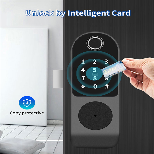 UK Waterproof Outdoor Gate Rim Double Sided Fingerprint Smart Door Lock with TTlock app