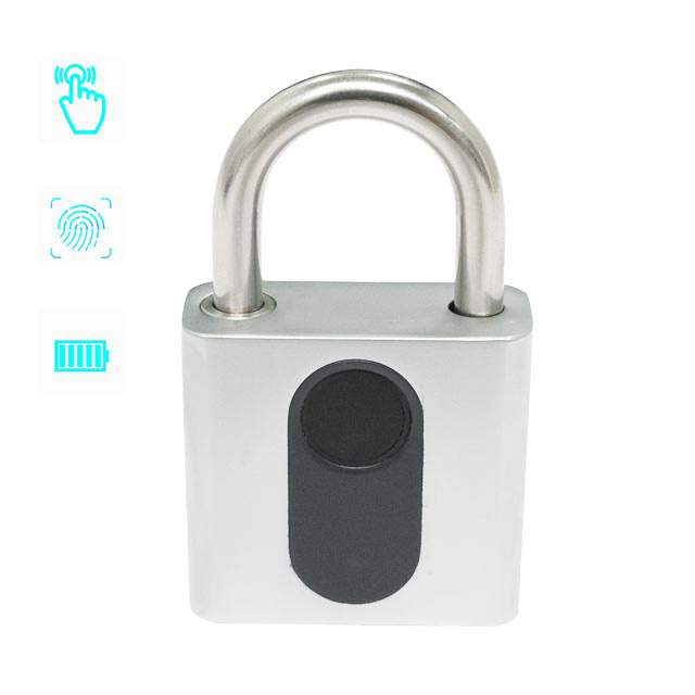 2021 New Arrive LAIU Fashionable Gold Charm Biometric Smart With Alarm Cameras Fingerprint Wifi Padlock