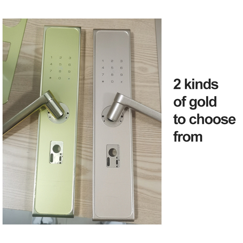 LAIU golden hook lock mortise metal smart fingerprint door lock for home security