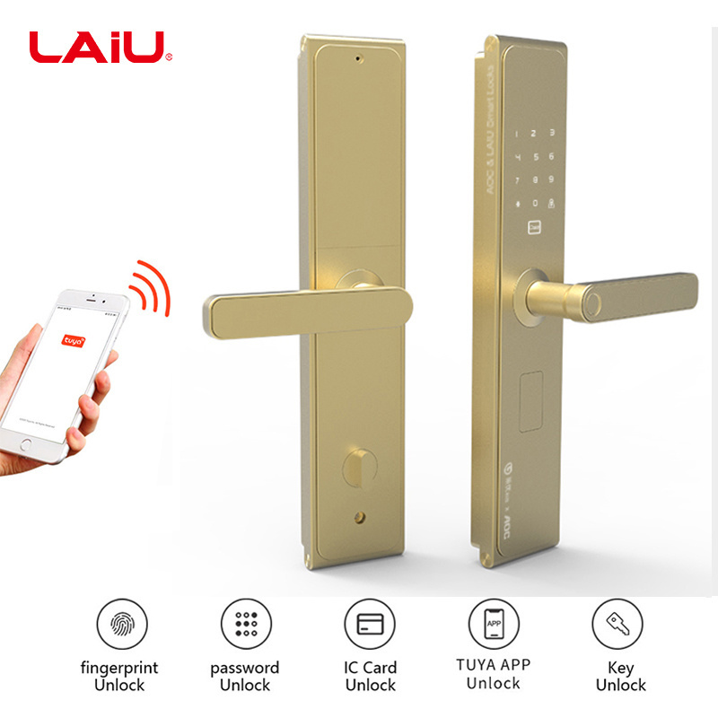 LAIU golden hook lock mortise metal smart fingerprint door lock for home security