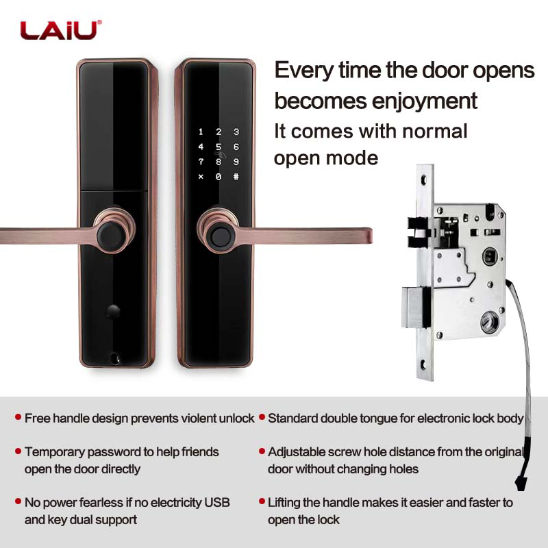 LAIU Secure Finger ID Anti-peep Code Keyless Entry Door Lock with Handle for Front Door Bedroom Home Office