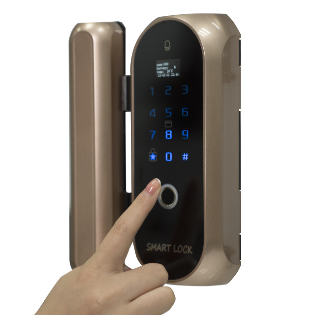 Good Quality Kaadas Iron Gate Fully Automatic Fingerprint Exterior Electric Smart Door Lock Tuya Wifi