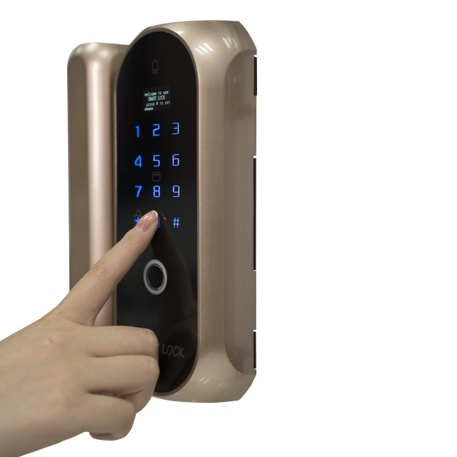 Good Quality Kaadas Iron Gate Fully Automatic Fingerprint Exterior Electric Smart Door Lock Tuya Wifi