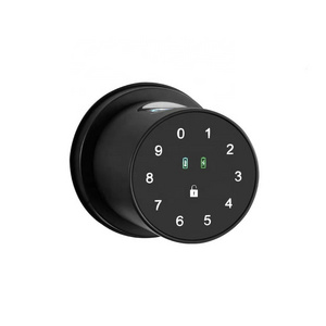 Amazon Simple install Tuya App Automatic Electronic Biometric Fingerprint Digital spherical smart knob home office door lock