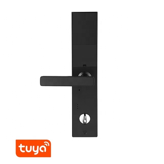 Hot sale Electronic security sliding fingerprint face recognition digital Guang dong tuya smart home handle front door lock