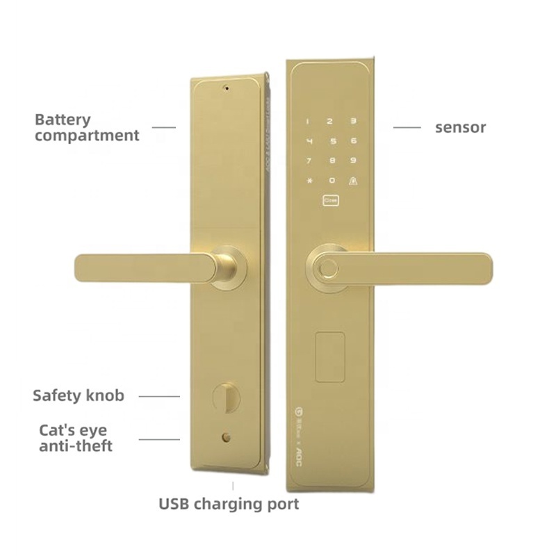 LAIU L8 Gold Security Aluminium Alloy Fingerprint Front Door Smart Lock with Tuya