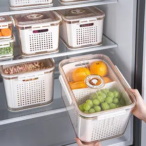 Hot sale Fruit Storage Box Organizer Fridge Vegetables Fresh Containers Refrigerator Storage boxes & bins