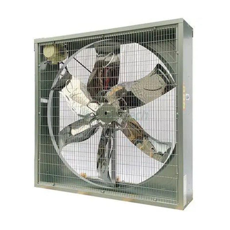 Squirrel cage AC DC EC motors Axial flow fan industrial wall mount exhaust fan high speed ventilation cooling Air Circulator fan