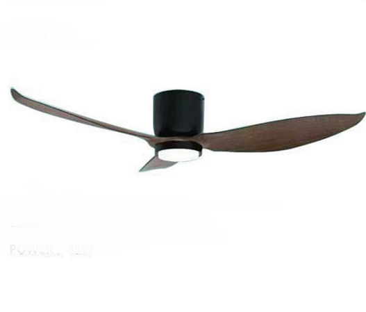 Ceiling fan