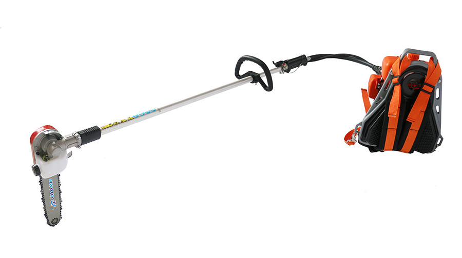 Backpack petrol long reach pole chainsaw