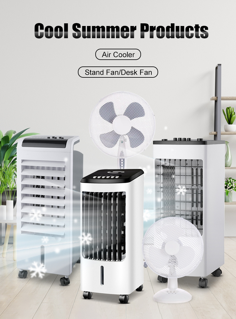 80W fan air cooler 12L Portable air cooler and heater with remote control