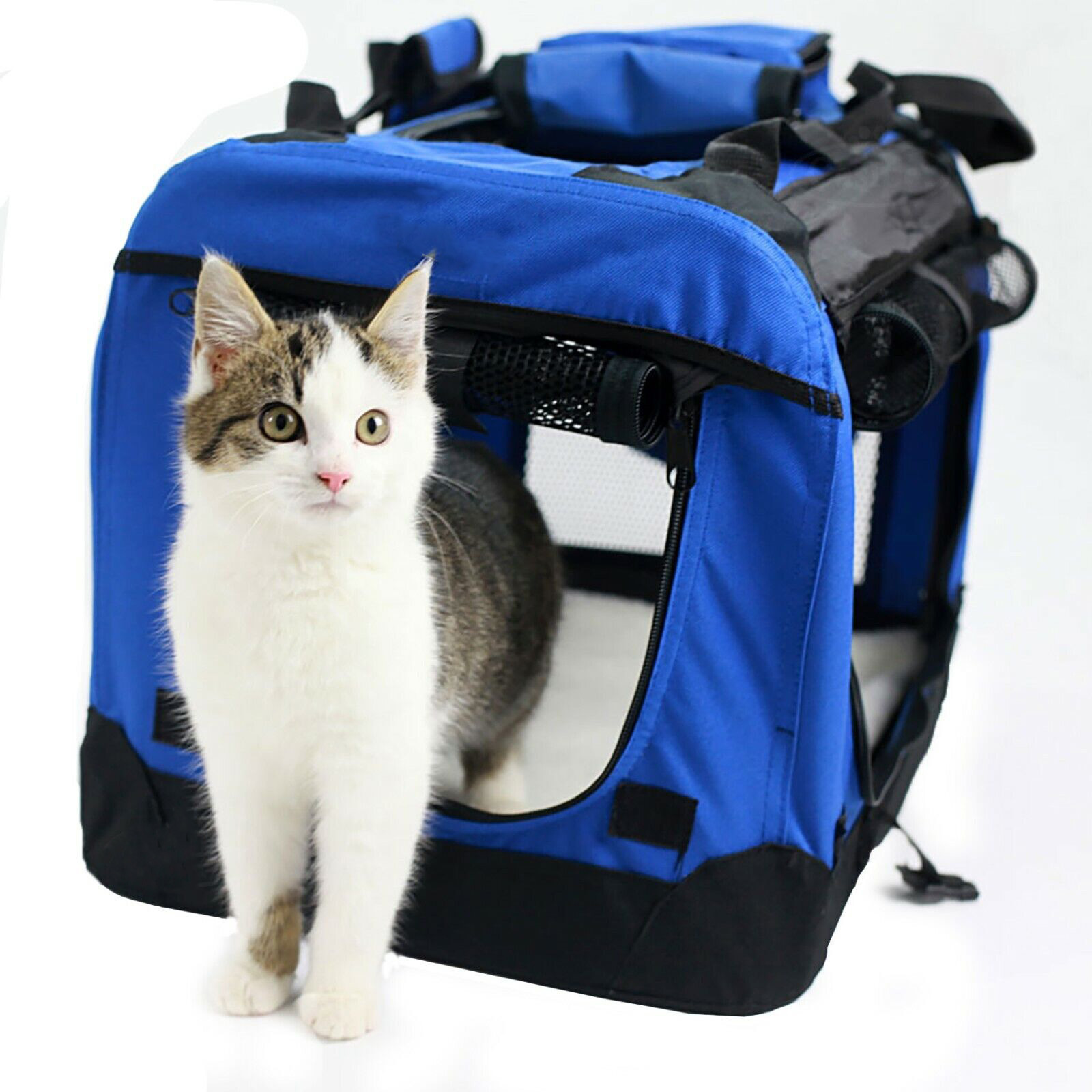 High Quality Durable Black Cat Bag Pet Carrier Expandable Airline Approved Medium and XL Sizes Custom Logo and Zipper Closure