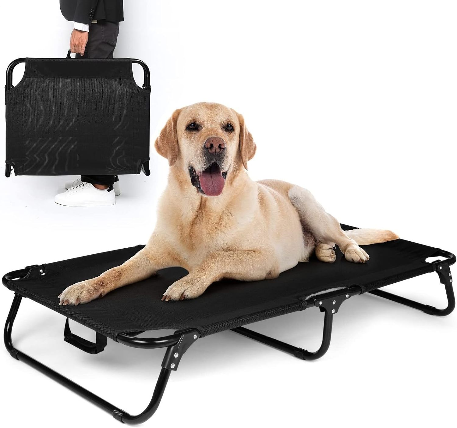 XL PVC Coated Pet Bed with Cooling Feature Breathable and Moisture-Proof Portable Dog Cot for Camping for Cats and Dogs