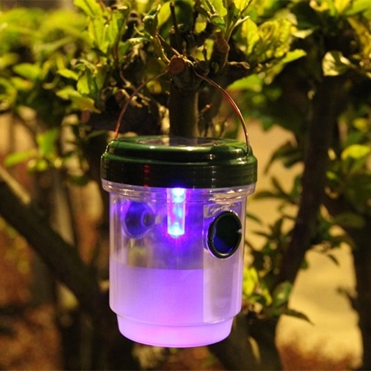 High Quality Wasp Decoy Bottle Kill Insect Uv Lamp Fly Trap Hanging Fly Trap In Insect