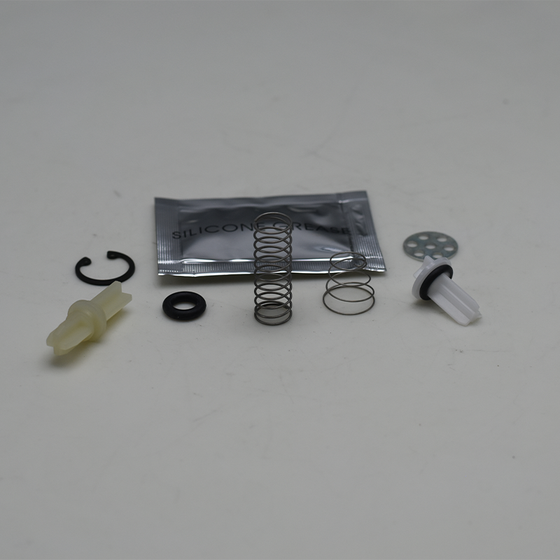 Dryer repair kit air  Truck Spare Part 109494 AD-IP Delivery Port Check Valve Kit