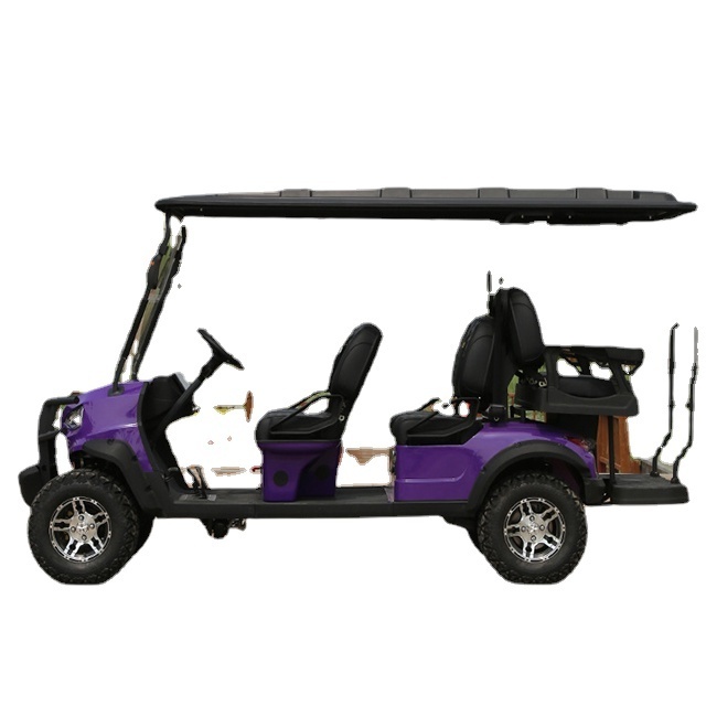 Best Price GCC  Golf Cart GCC 4wd Golf Cart DOT Golf Cart Garage Door