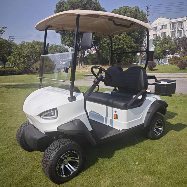 New Design Electric Cargo Atv CE Luxury Electric Golf Cart DOT Outdoor Food Truck