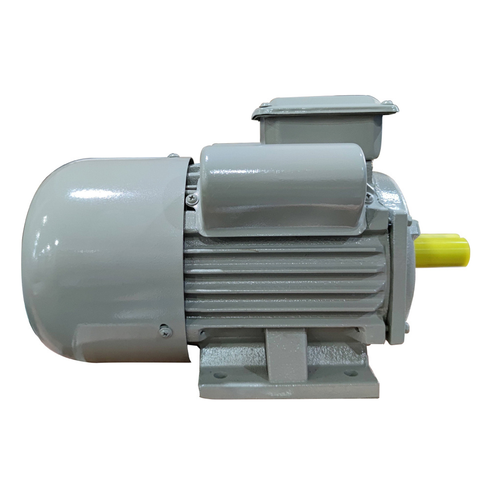 WEDO China heavy duty wholesale 1hp single phase 4 pole induction electric motor