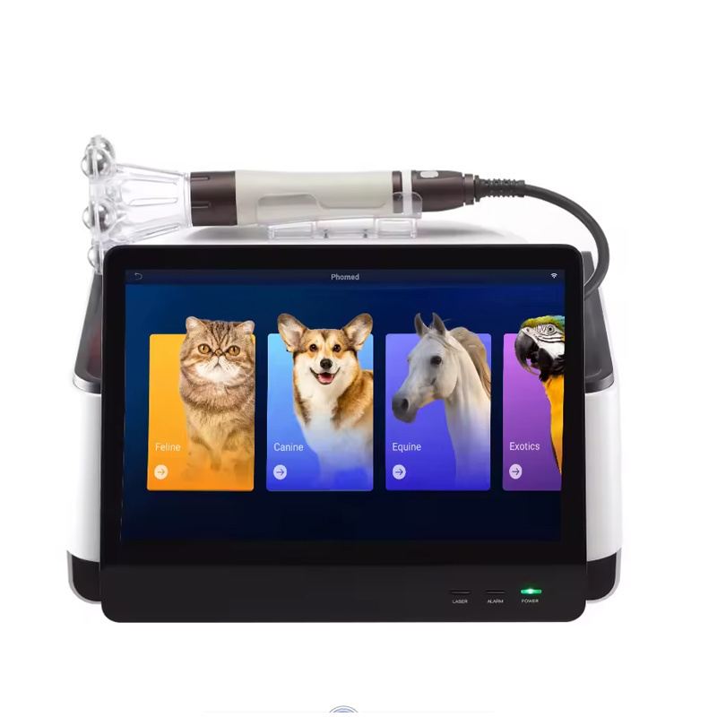 Class 4 Laser Treatment For Deep Tissue Laser Therapy for Pet Cat Dog Animal