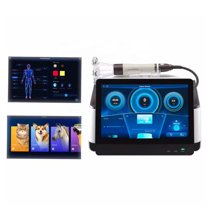 Class 4 Laser Treatment For Deep Tissue Laser Therapy for Pet Cat Dog Animal