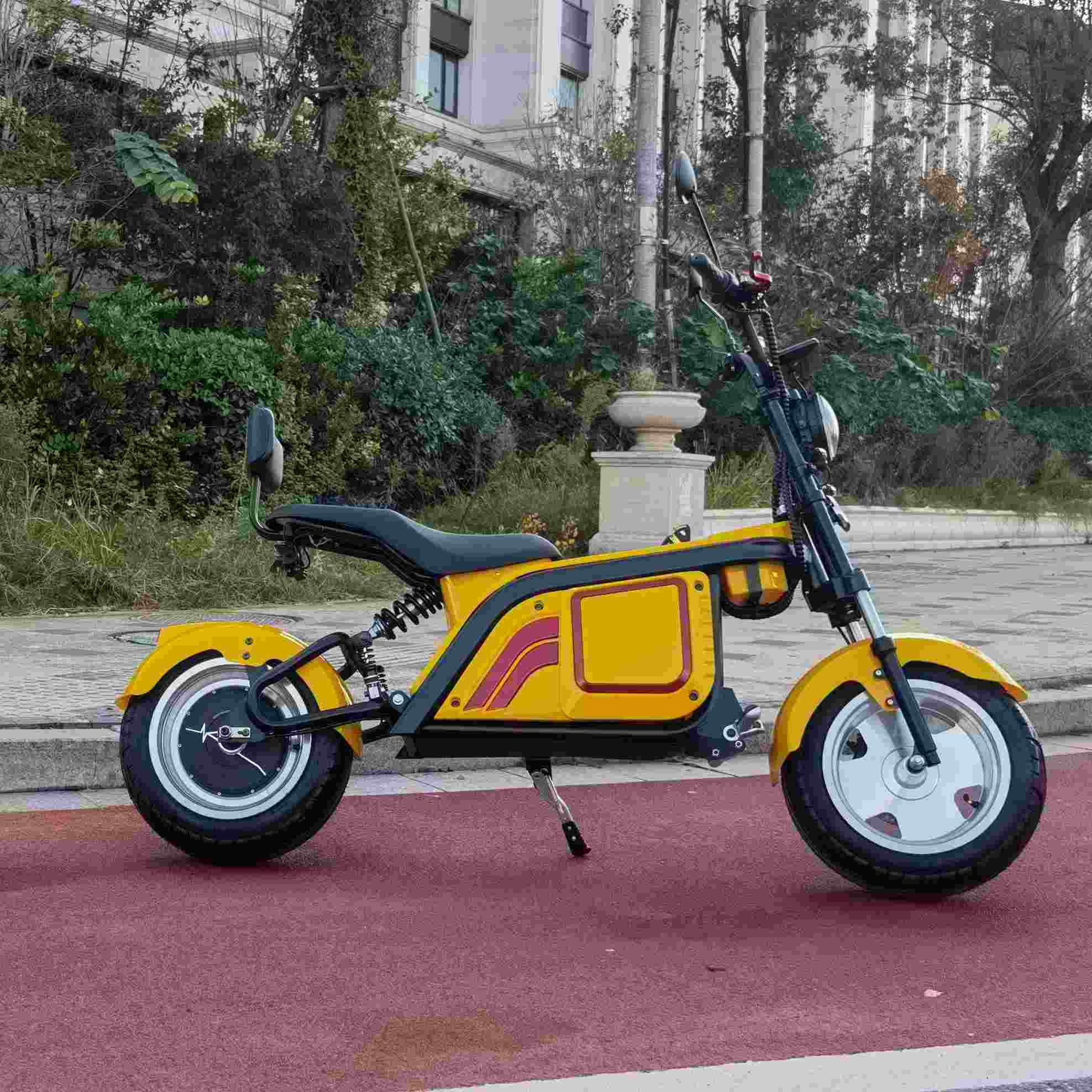 China Manufacturer Electric Bicycle 2000W 60V Battery Electric Bike 2022/E Bike/Electric Moped With Pedals