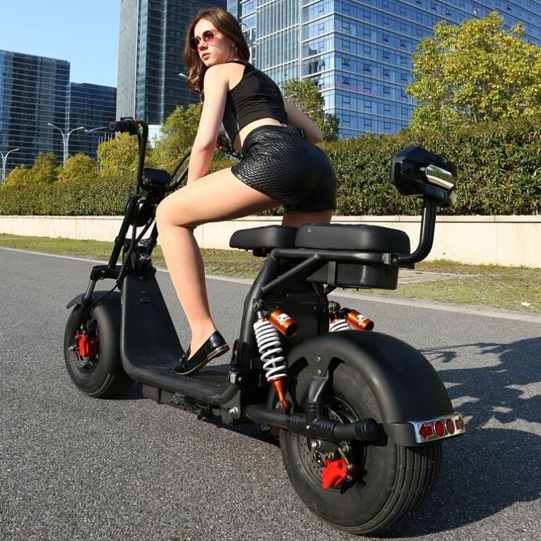 Hot Selling European Warehouse 3 Wheel Electric Scooter Street Legal With CE EEC COC