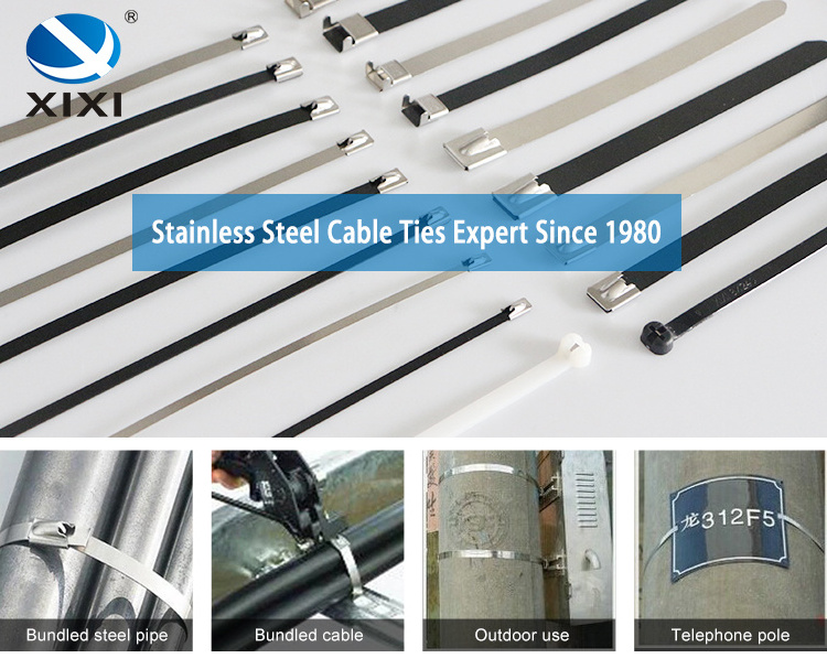 316 Stainless Steel ball lock uncoated Cable Zip Ties