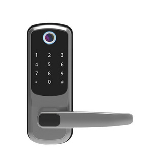 Hot Sale Ttlock APP Electronic Door Lock Handle Smart Lock with Keypad