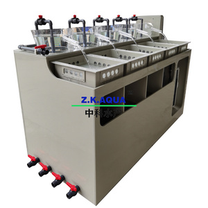 Tilapia and catfish egg incubator incubation machine with jar