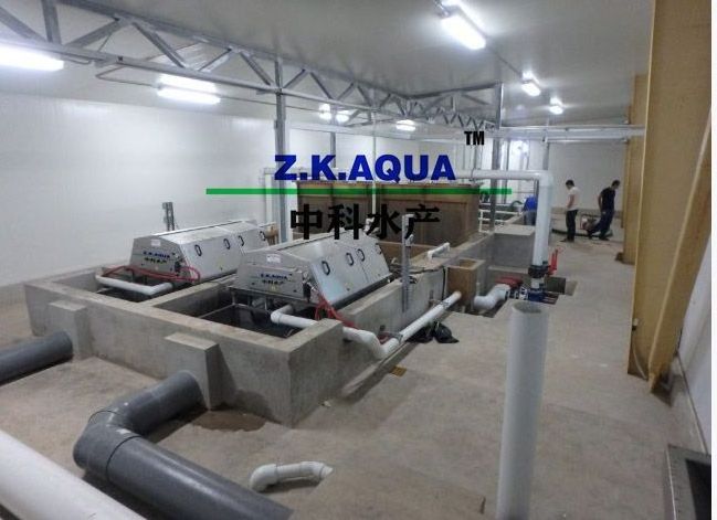 RAS Aquaculture fish farm system indoor shrimp farming equipment