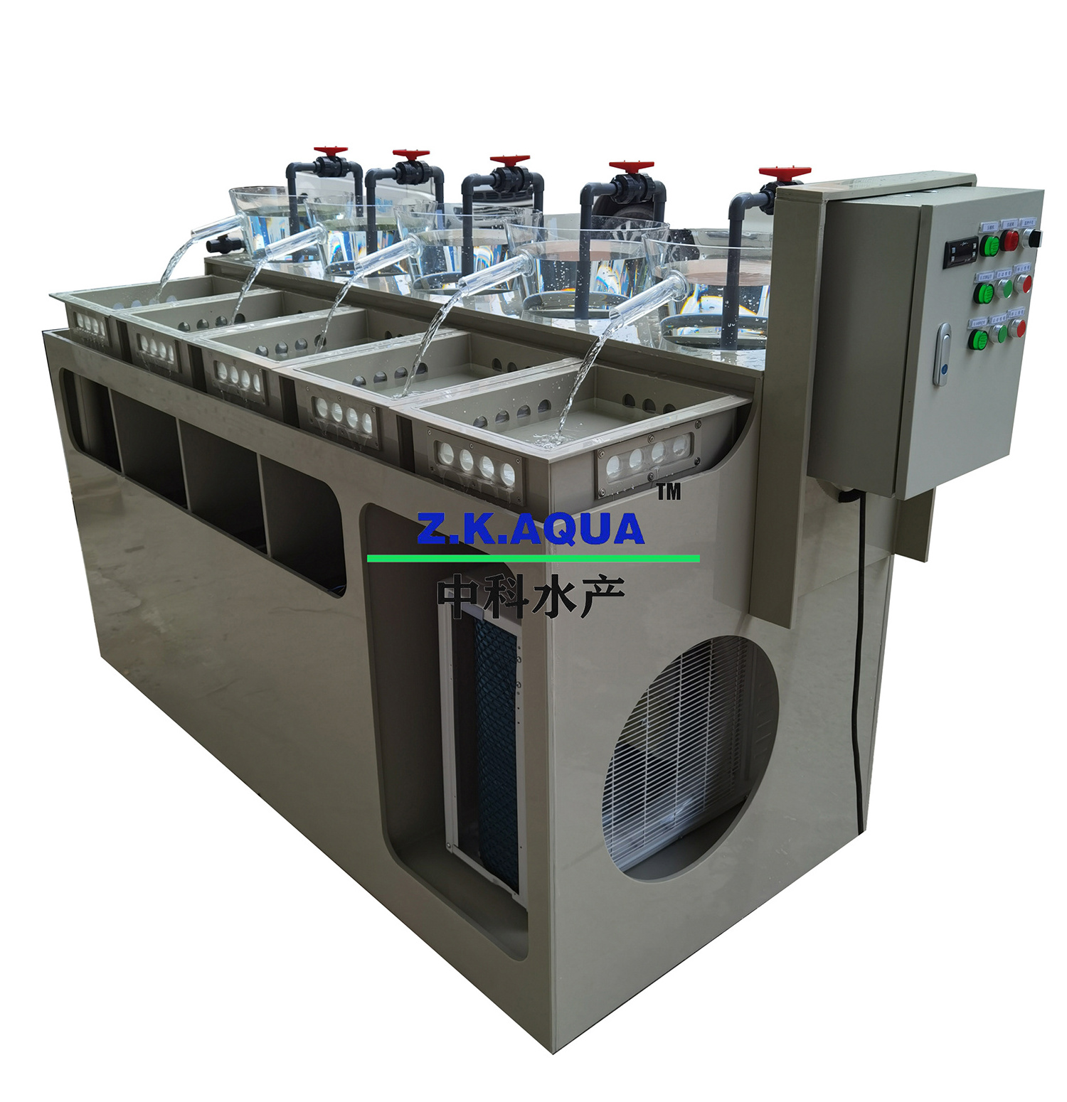 Tilapia and catfish egg incubator incubation machine with jar