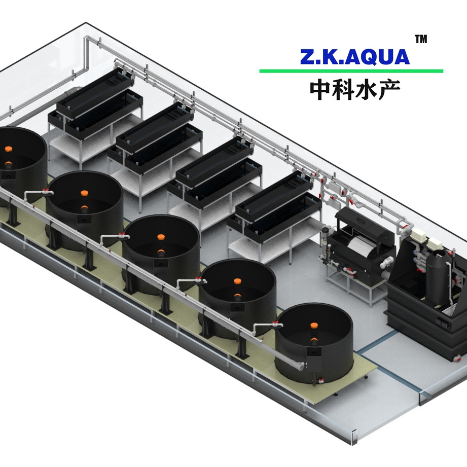 indoor  tilapia egg ras hatching  system catfish egg incubation