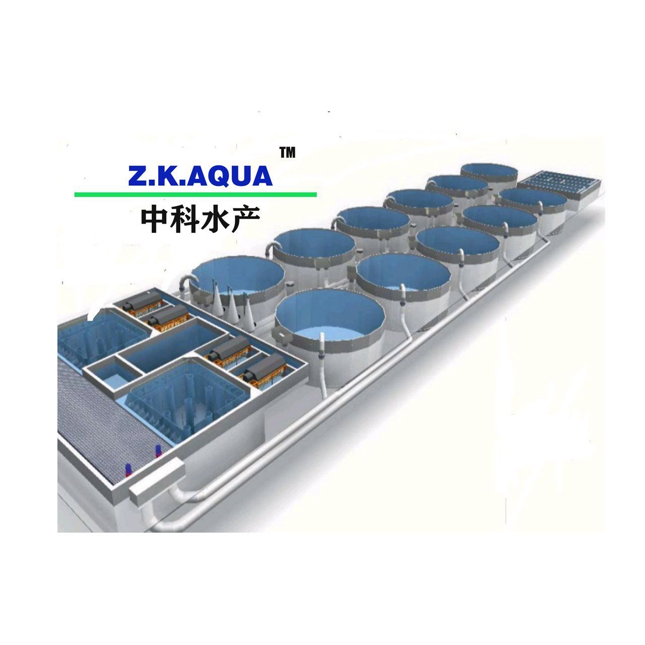 RAS Aquaculture fish farm system indoor shrimp farming equipment