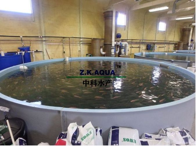 RAS Aquaculture fish farm system indoor shrimp farming equipment