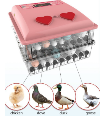 Incubators Hatching Eggs 5000 Eggs Incubator Sale Commercial Egg Incubator For Sale In Miami