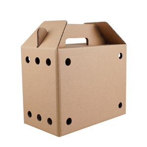 wholesale Custom logo folding corrugated pet carrier cardboard box kraft paper boxes with handle