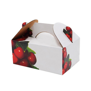 Custom 1kg cherry tomatoes packaging gift box