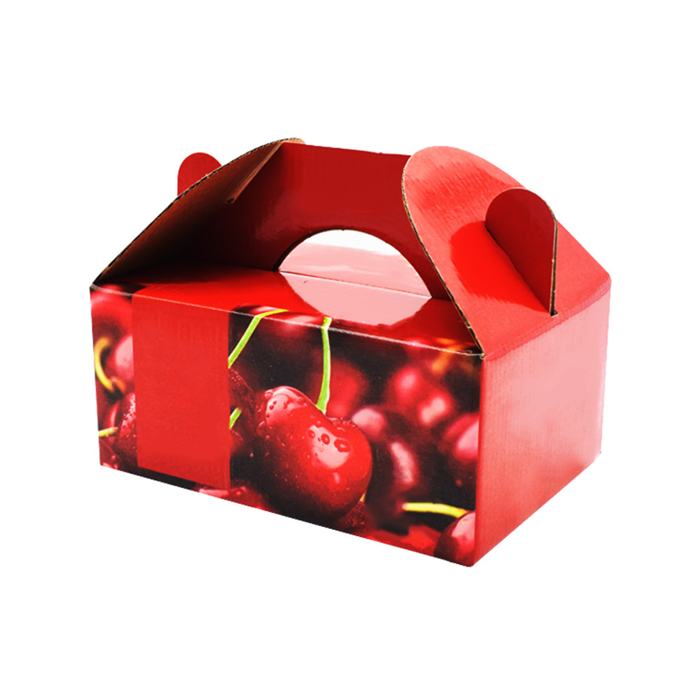 Custom 1kg cherry tomatoes packaging gift box