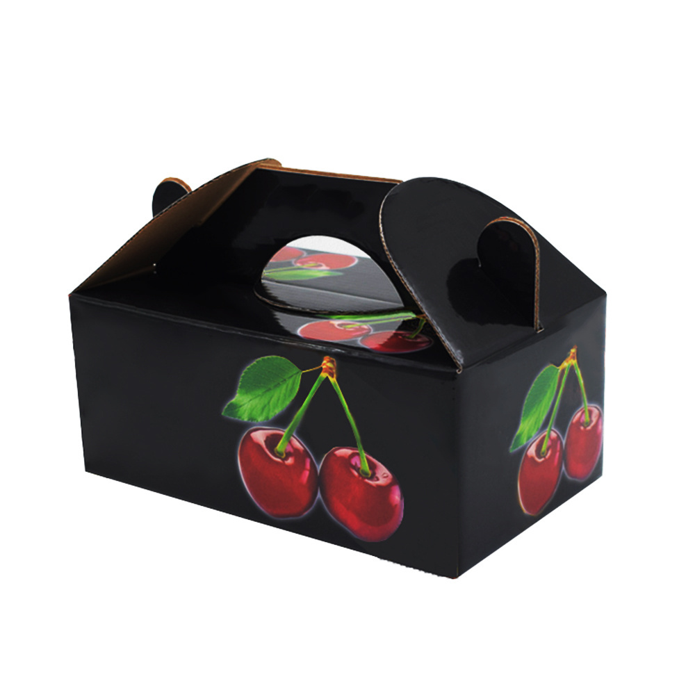 Custom 1kg cherry tomatoes packaging gift box