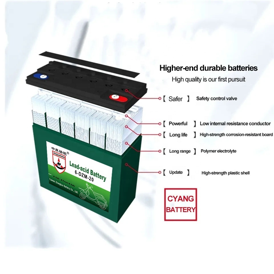 High Quality Wholesale Custom Cheap Electric vehicle battery  Lead-acid Battery battery accessories 6-DZM-12/6-DZM-20