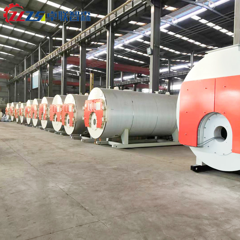 Qingdao ZLZSEN Pellet Small Wood Fired Steam Boiler