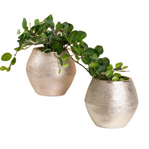 Creative brushed gold succulent green plants hydroponic butterfly orchid minimalist ceramic flower pot