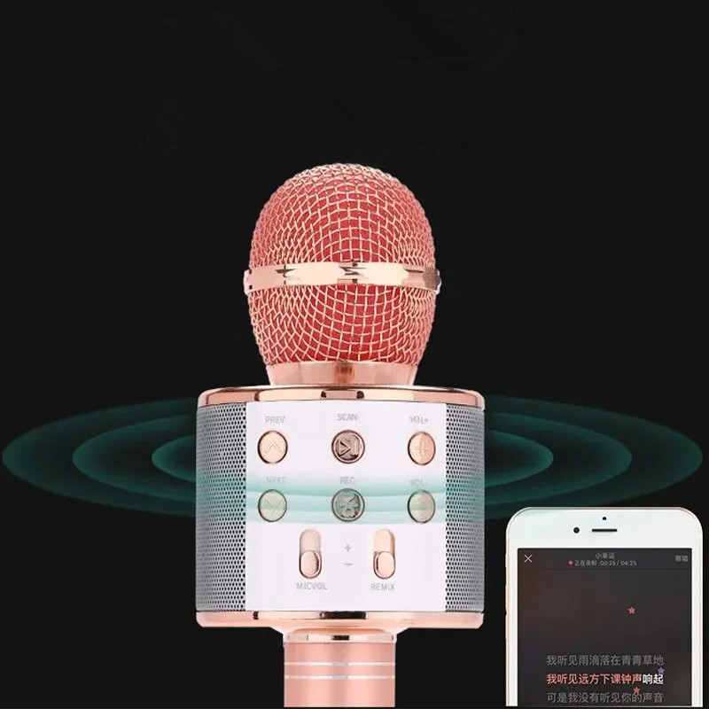 WS858 Professional Handheld Wireless Karaoke Microphone USB Speaker Microphone for Kids Music Player Singing Recorder KTV