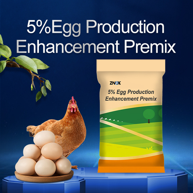 Feed Additive Poultry Layer Feed Chicken Premix Egg Increase Fertility Booster