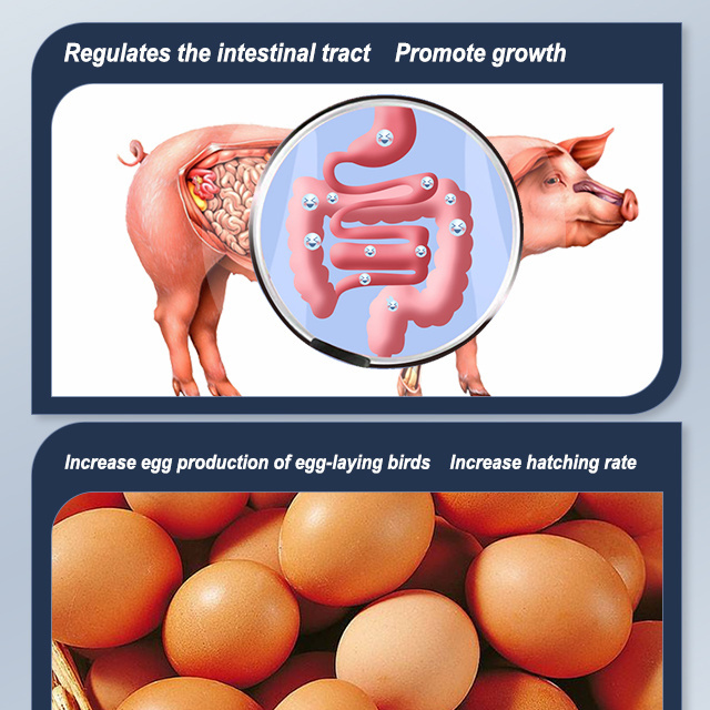 Highly effective mixed mycotoxin adsorbent feed additive toxin binder for poultry