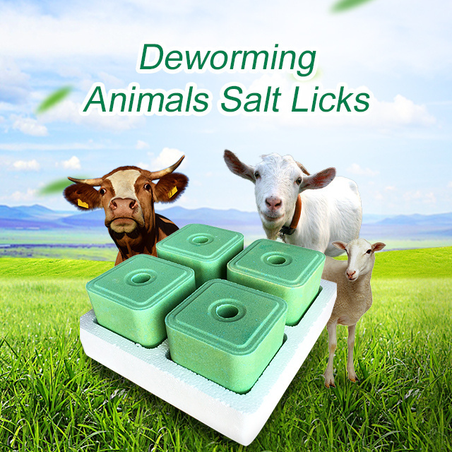 High quality Himalayan mineral salt blocks licking bricks for strengthening the body of cattle sheep and deer deworming