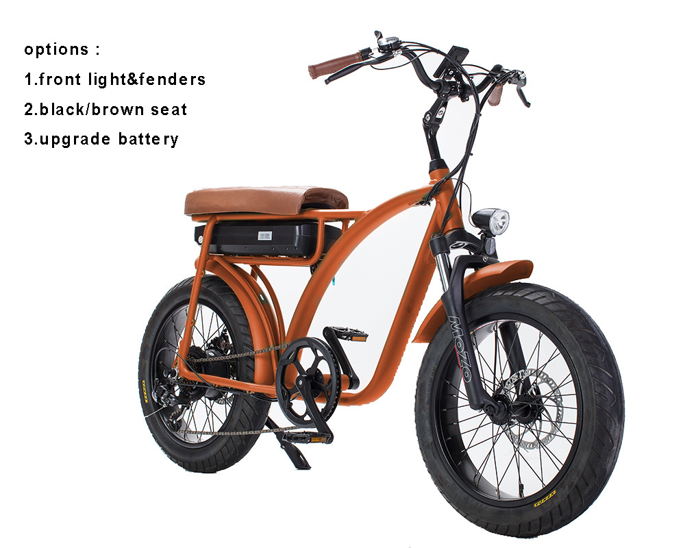 Chopper bike beach cruiser  full suspension green bike fat tires electric bike